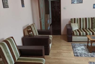 Apartament cu 2 camere în Paltiniș - 11