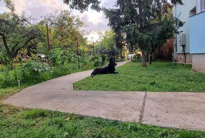 Apartament cu 2 camere decomandat în Bulgaria - 14