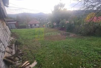 Casă cu 3 camere cu Teren 3410 Mp în Aluniș - 14