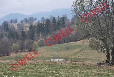 Teren de 2702 mp, în Vama Buzăului - 7