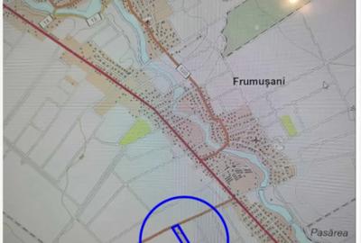 Teren în Frumușani - 8