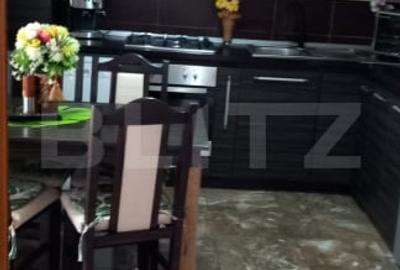 Apartament cu 2 camere decomandat, mobilat în Vișani - 3