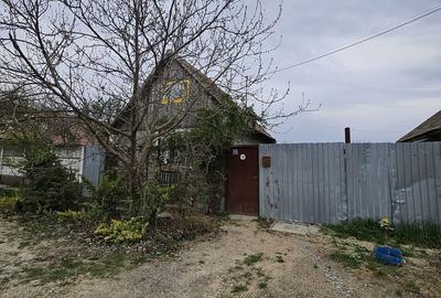 Casă cu 2 camere în Biharia - 3