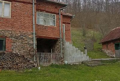 Casă cu 4 camere în Poieni (Densuș) - 3