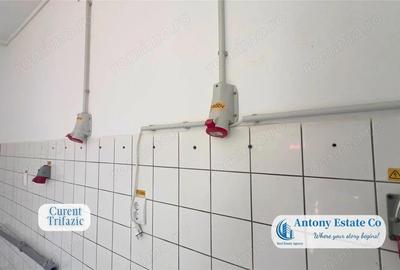 Spatiu comercial de inchiriat, Rogerius, Oradea - 12