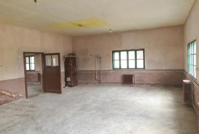 Spațiu comercial, de 180 mp, în Ineu - 1