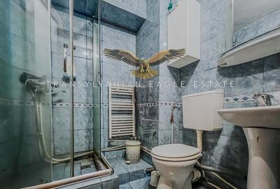 Garsonieră decomandată, mobilată în Zorilor - 9