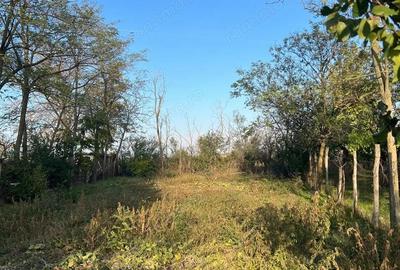 Galbinasi Giurgiu, casa vanzare - 6