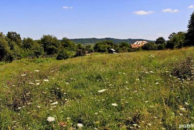 Teren în Zătreni - 3
