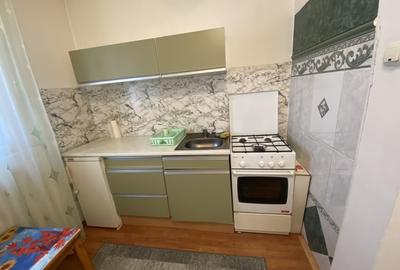 Apartament cu o camera Calea Lipovei Apartament cu o camera Calea Lipovei - 6