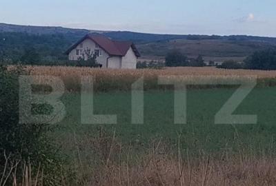 Teren de 485 mp, în Oarda