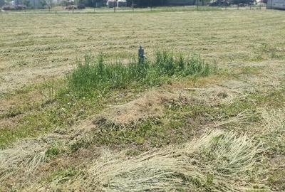 Teren de 5000 mp, în Satchinez - 4