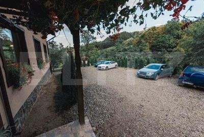 O bijuterie maramure?eana gata sa-?i intampine noii proprietari in Viseul de Jos - 7