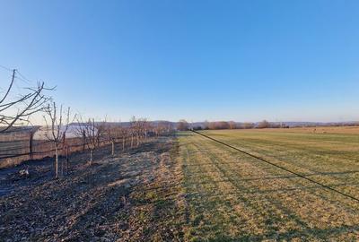 Teren de 7300 mp, în Central - 5