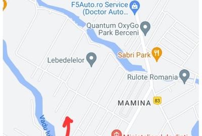 Teren Intravilan Comuna Berceni Cartier Mamina Cu Toate Utilitatile La Poarta - 2
