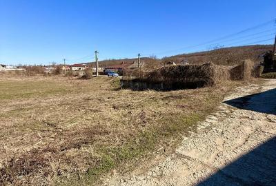Teren de 720 mp, în Urlați - 2