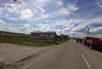 Teren intravilan de loc.Murighiol Jud.Tulcea - 13