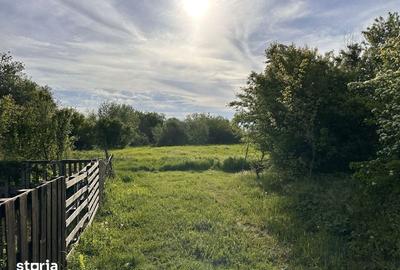 Teren de 500 mp, în Ciorogârla - 2