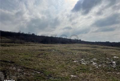 Spațiu comercial, în Dealuri Oradea - 8