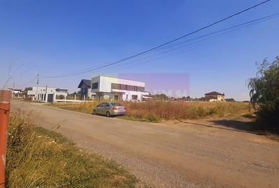 Teren foarte bun pentru mai multe case in Branesti - 4