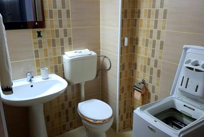 Garsonieră decomandată, mobilată în Găvana 3 - 12