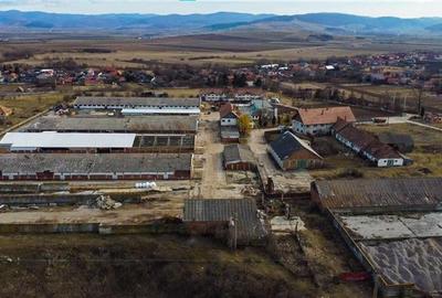 FILM! Complex agrozootehnic cu traditie, echipat,pretios potential multiplu, Bra - 39