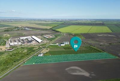 Livada de nuci ?i pruni 2.4ha in Varia?u Mare Livada de nuci ?i pruni 2.4ha in Varia?u Mare - 2