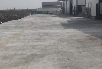 Spațiu comercial, de 540 mp, în Moara Domnească - 8