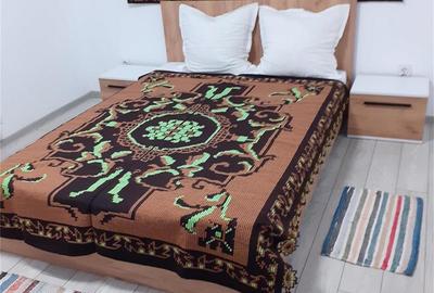 Casă cu 2 camere în Cârțișoara - 4