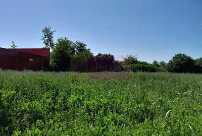 Spațiu comercial, în Movilița - 17