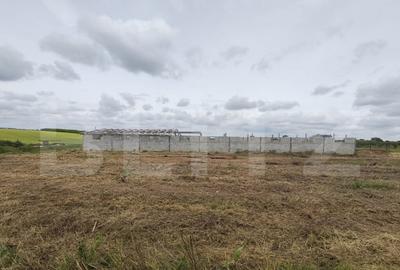 Teren intravilan cu constructie din caramida in Cheriu langa - 13