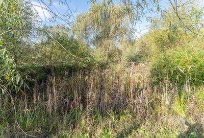 Proprietate rara in Covasna - liniste, spatiu si potential de investitie - 4