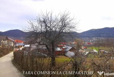 Teren în Vlădesti - 5