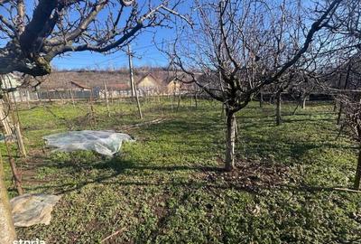 Spațiu comercial, în Bărăbanț - 1