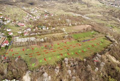 Teren de 23345 mp, în Cornu - 9