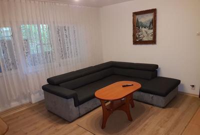 Apartament cu 2 camere semidecomandat, mobilat în Girocului - 6