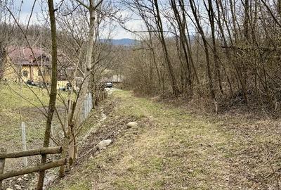 Teren Construcții intravilan de 3300 mp, în Sălătrucel - 8