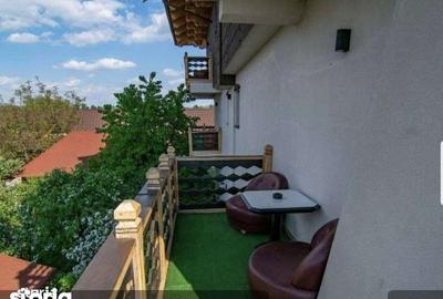 Spațiu comercial, de 761 mp, în Săpânța - 11