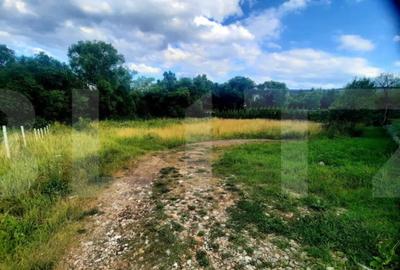 Teren de 1430 mp, în Bună Ziua - 2