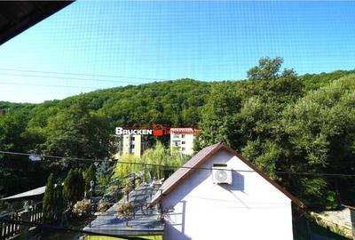 LOCUINTA TA DE VIS IN PADUREA NEAGRA - 4