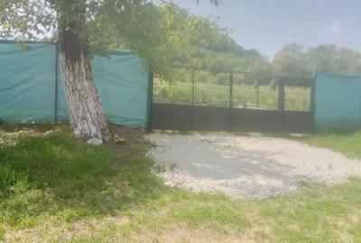 Casă cu 2 camere în Central - 1