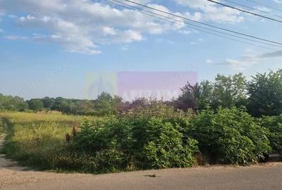 Teren de 4200 mp, în Teișori - 7