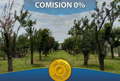 Teren de 1298 mp, în Călinești