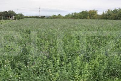 Teren extravilan, 10700 mp, zona Periferie Nord - 1