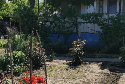 Casă cu 2 camere cu Teren 3000 Mp în Exterior Vest - 3