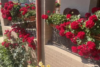 Casă cu 6 camere cu Teren 1000 Mp în Bucium