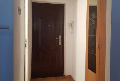 Inchiriere garsoniera metrou Dristor, etaj intermediar, 270 euro - 10