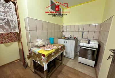 De vanzare Vila D+P+M - cartier Sud Vii -teren proprietate! - 12