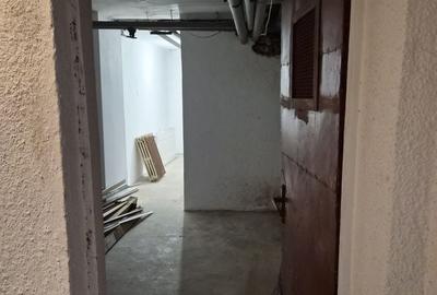 De vânzare Vilă individuala 11 camere curte proprie Parcul Carol - 41