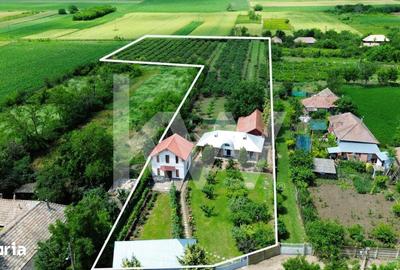 Casă cu 5 camere cu Teren 7800 Mp în Murgeni - 5